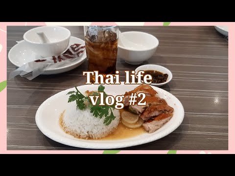 Go out to eat at the restaurant | Thai Life Vlog #2 | Vacuum Vlog