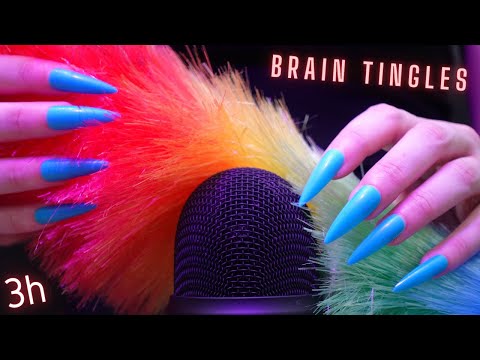 Asmr Hypnotic Mic Scratching , Brushing & Stroking | Asmr No Talking for Sleep - Long Nails |3 Hours