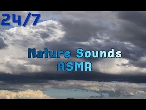 Nonstop ASMR Stream: Wind & Water (no thunder)- For Sleep, Study, Relaxation