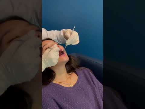 ASMR Female Real Person Dental Exam 🦷