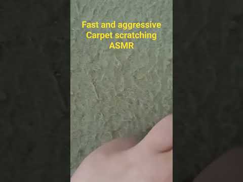 super fast and aggressive carpet scratching ASMR
