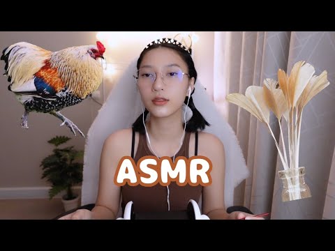[ ASMR ] Chicken Crane Stick Ear Cleaning | 1 Hour Loop ( No Talking )