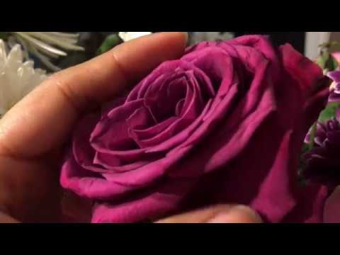 ASMR Inaudible Whispering with Flower Sounds