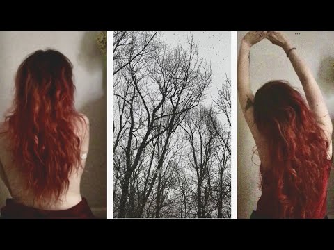 Moody Snow Storm ASMR ( Winter & Nature Sounds for Sleep & Grounding, No Talking)
