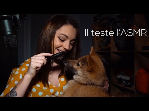 ♡ ASMR  - Je fais de l'ASMR à mon Shiba inu♡