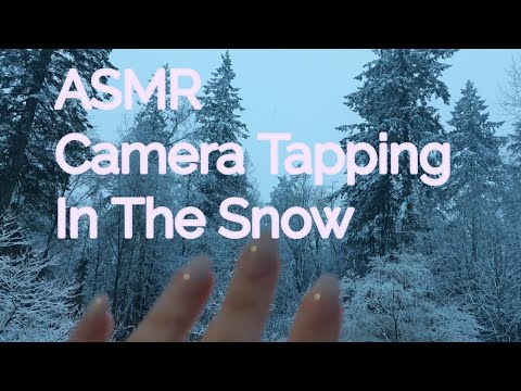 ASMR Camera Tapping In The Snow(Lo-fi)