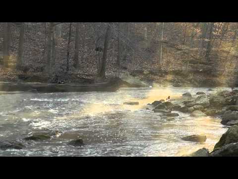 Morning Mist (Nature Sounds Series #1) Flowing Creek, Woodland Ambiance