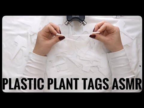 ASMR Writing, Scratching, and Tapping on Plastic Plant Tags