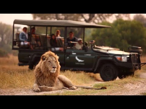 ASMR Tingly Whispers For Sleep (Safari Game Drive at Kruger National Park) 😴