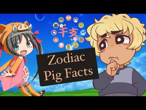Quick Japanese Zodiac Sign Facts [Pig]