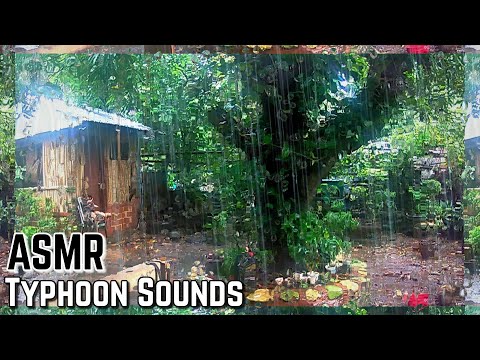 ASMR: Philippines Typhoon Rain & Wind Sounds for Relaxation (No Talking)