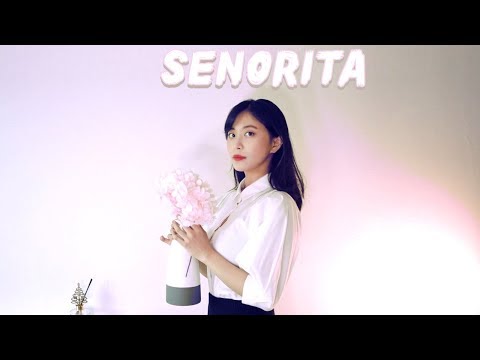 Señorita(세뇨리따)- Camila Cabello (미모 l MIMO COVER)