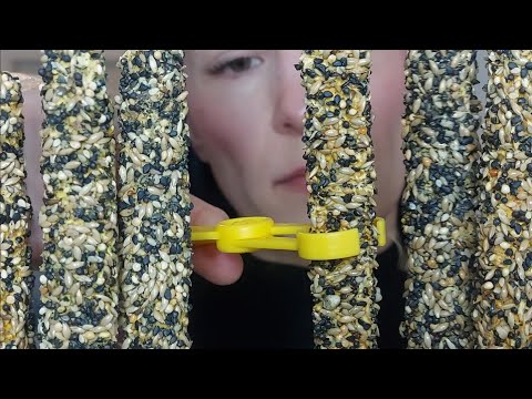 Your Hair is full of lice and bugs *ASMR*