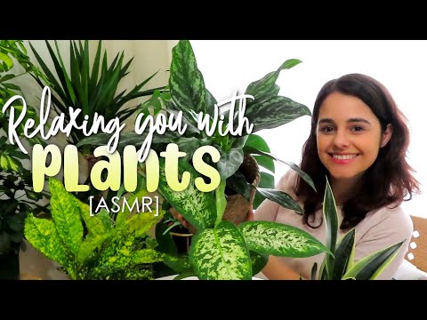ASMR Relaxing you with GORGEOUS plants 🌿rambling & showing