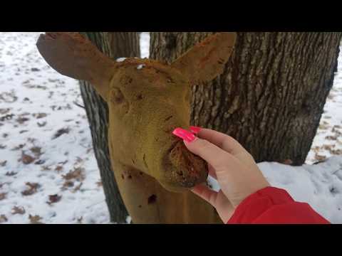 ASMR- Tapping/Scratching Outside