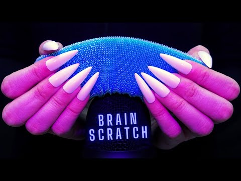 Asmr Sponge on Mic : Scratching, Brushing, Squishing, Crinkle etc No Talking for Sleep - Long Nails