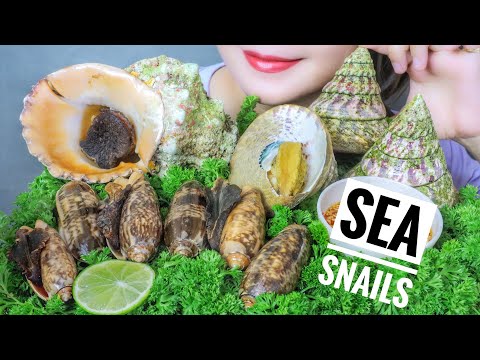 ASMR EATING SEA SNAILS ( Sea apple snail , Sweet snails , mortar snail)  EATING SOUNDS | LINH-ASMR
