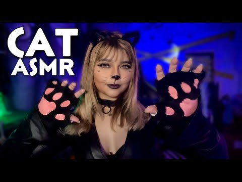 ASMR l Cat Scratches and Purring