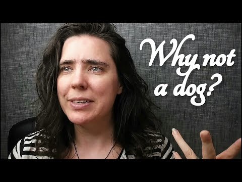 ASMR Why not just get a dog?