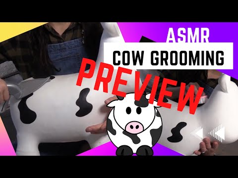 ASMR cow grooming 🐮 PREVIEW