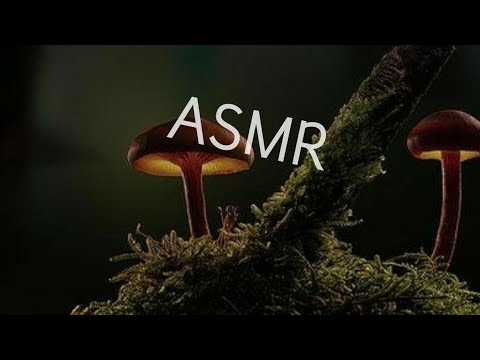 ♠ASMR with Forest Sounds أصوات الطبيعة و asmr الإسترخاء ♠