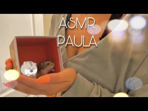 FAST AND AGGRESSIVE ASMR | MEET MY HAMSTERS