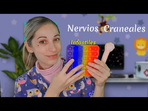 ASMR | Nervios Craneales INFANTILES | SusurrosdelSurr Roleplay | Español