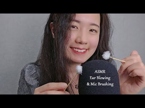 ASMR Ear Blowing & Mic Brushing with Fluffy Earpick | Foam Cover, Blue yeti (No Talking, 1hr)