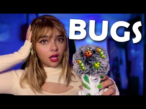 ASMR l Bugs for 30 Minutes 🐛🐞 (Insane Tingles)