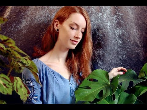 ASMR 🌲 Plant Haul 🌱~ Show and Tell