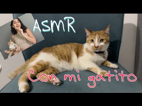 ASMR con mi gatito (español Mx)