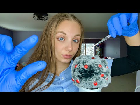 ASMR || Plucking out Bugs in Your Hair! 🐞