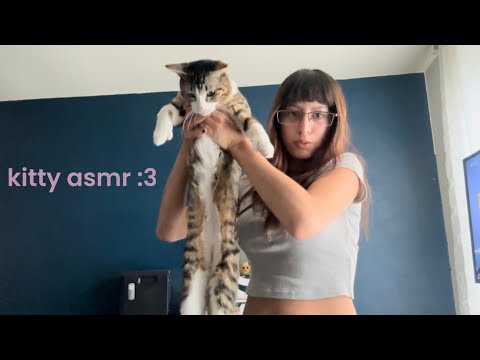 ASMR | 6 min meet my kitties :3