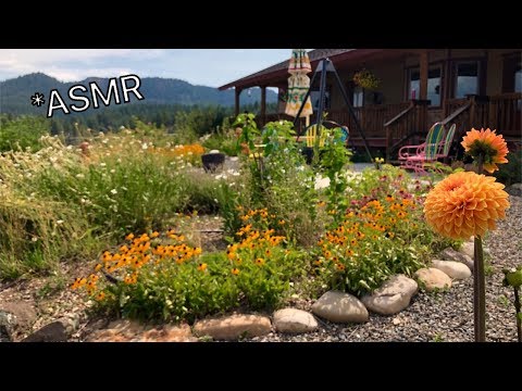ASMR Tingly Garden Tour | ASMR in Nature