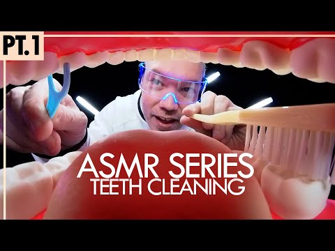 Dentist Teeth Checkup & Cleaning 🦷 Brushing, Flossing & Mouth Eyes?? 👀 Pt.1 (ASMR, RP)