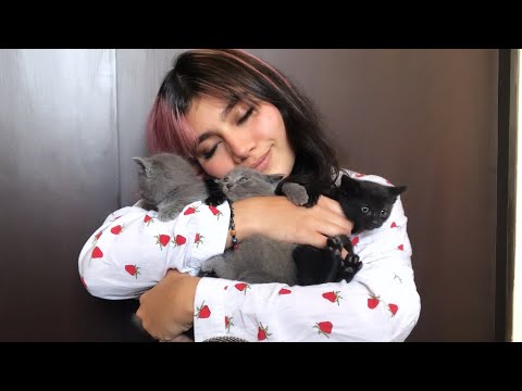 ASMR con gatitos bebes- María ASMR
