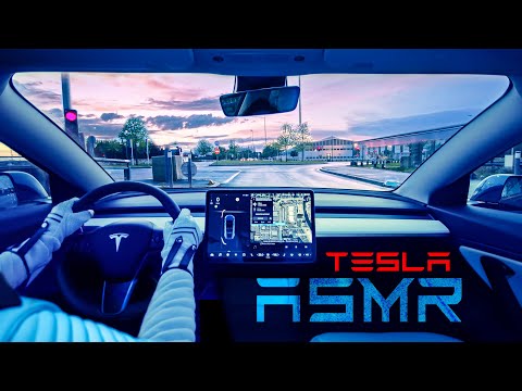 ASMR Driving with a TESLA 🚗Twilight in the Suburbs 🌆
