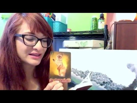 Cats Oracle Card Reading ASMR