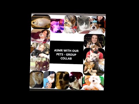 ASMR WITH MY PETS  GROUP COLLAB - THE CUTEST ASMR VIDEO EVER! CATS/DOGS/FISH/HORSE !