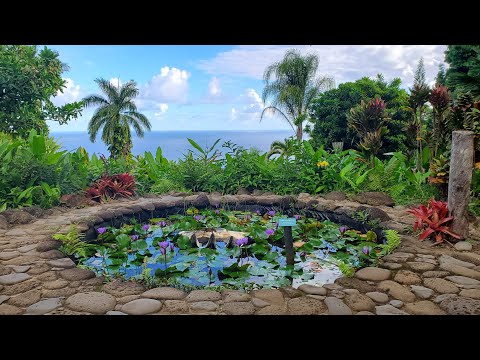 Entering Garden of Eden Arboretum (Short Drive)