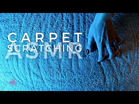 ASMR | Carpet Scratching & Rubbing Sounds (No Talking)