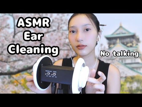 ASMR EAR CLEANING SAKURA NO TALKING 🌸 [ No Loop ]