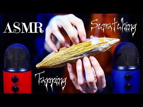 🌱 ASMR - TAPPING AND SCRATCHING 🌱 Ear to ear relaxing sounds with a giant seed
