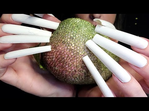 ASMR Aggressive Textured Scratching On Random Items | No Talking | Extremely Long Nails