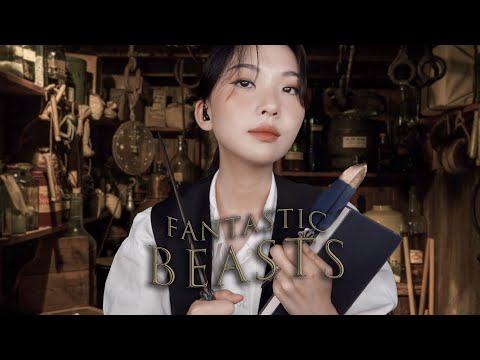 Harry potter ASMR | Fantasic Beasts and Newt Scamander's Assistant