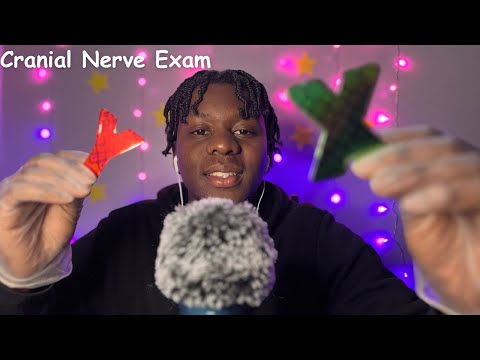 ASMR The Best Cranial Nerve Exam In History (Tingle Warning)