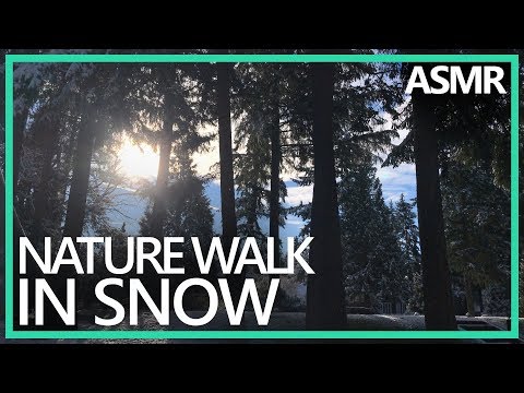Binaural Nature Walk Snow Crunching & Cracking (ASMR, 4K)