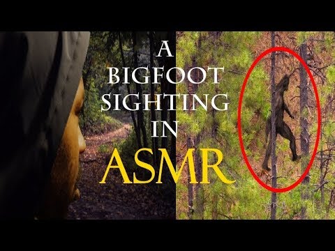 a BIGfoot Sighting in ASMR
