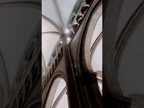 ASMR Relax in Beautiful Swiss Cathedral 🤍🕯️🤍 #divine