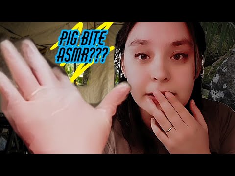 ASMR Realistic medical exam but you got BIT BY A PIG! Real doctor, gloves, soft speaking.